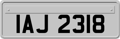 IAJ2318