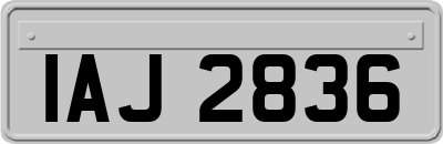 IAJ2836
