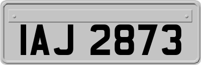 IAJ2873
