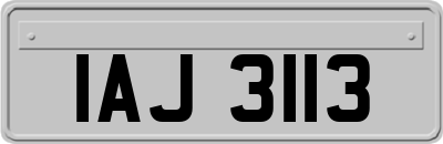 IAJ3113