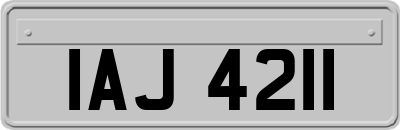 IAJ4211