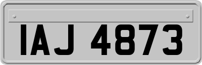 IAJ4873