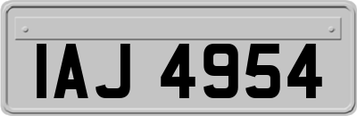IAJ4954