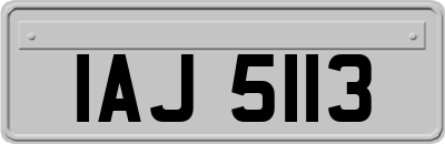 IAJ5113