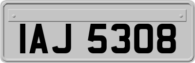 IAJ5308