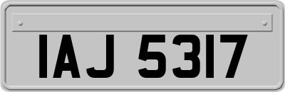 IAJ5317