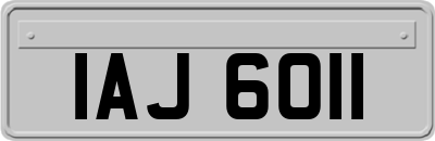 IAJ6011