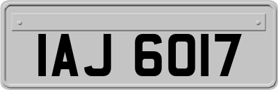 IAJ6017