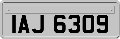 IAJ6309