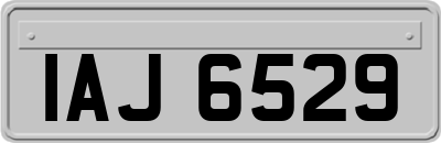 IAJ6529