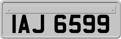 IAJ6599