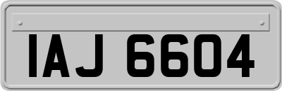 IAJ6604