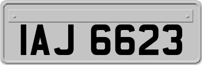 IAJ6623