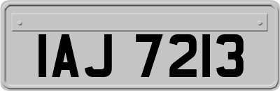 IAJ7213