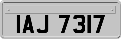 IAJ7317