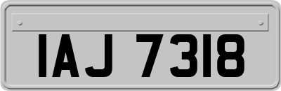 IAJ7318