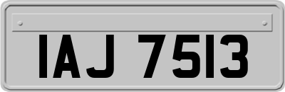 IAJ7513