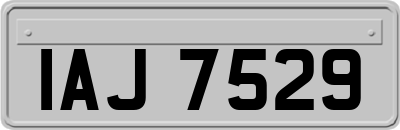 IAJ7529