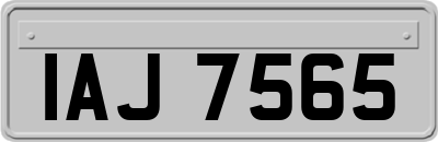 IAJ7565