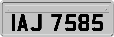 IAJ7585