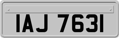 IAJ7631