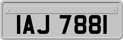 IAJ7881