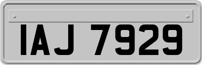 IAJ7929