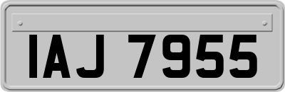 IAJ7955