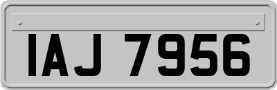 IAJ7956