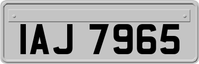 IAJ7965