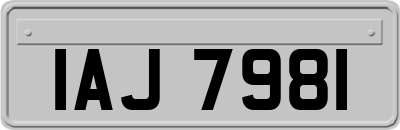 IAJ7981