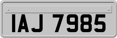 IAJ7985