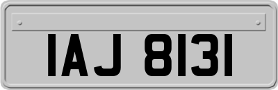 IAJ8131