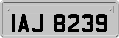 IAJ8239