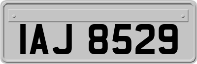 IAJ8529