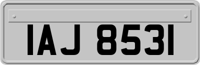 IAJ8531