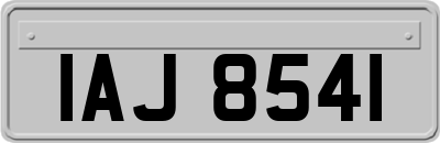 IAJ8541