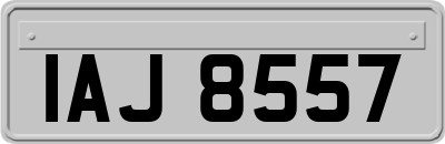 IAJ8557