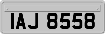 IAJ8558