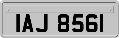 IAJ8561