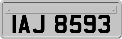 IAJ8593