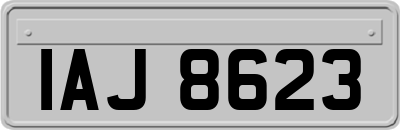 IAJ8623