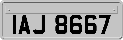IAJ8667