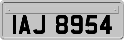 IAJ8954
