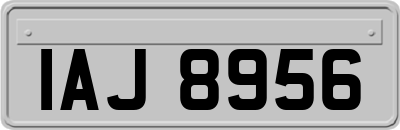 IAJ8956