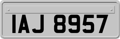 IAJ8957