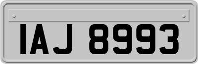 IAJ8993