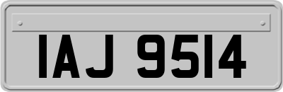 IAJ9514