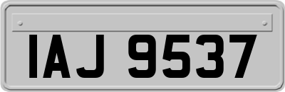 IAJ9537