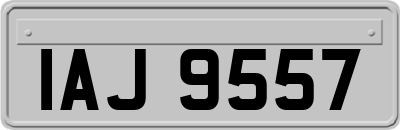 IAJ9557